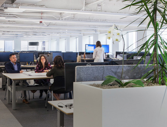PerkinsWill-MastheadBanner