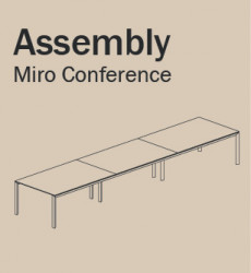 INS Miro Conference