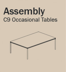 INS C9 Occasional Tables